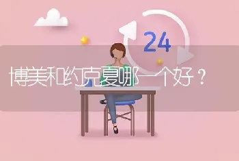 博美和约克夏哪一个好？