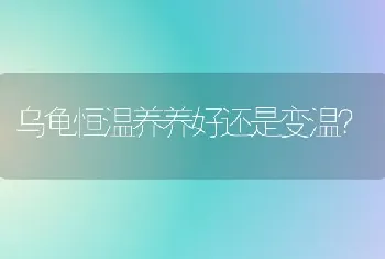 为什么猫咪总是跳室友的床？