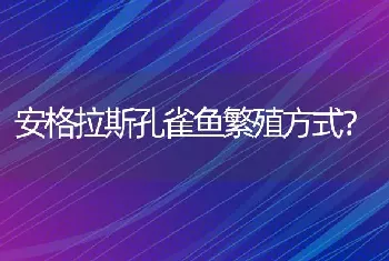 安格拉斯孔雀鱼繁殖方式？