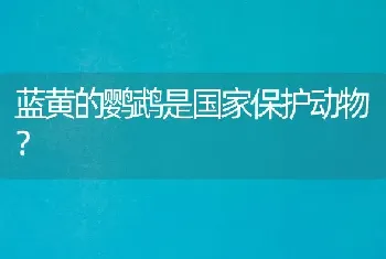 蓝黄的鹦鹉是国家保护动物？