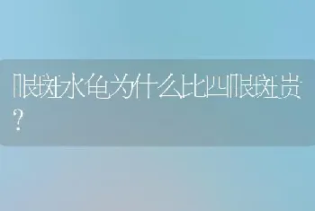 马犬狗狗名字大全，马犬霸气名字大全？