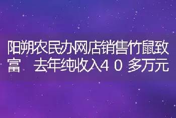 阳朔农民办网店销售竹鼠致富 去年纯收入40多万元