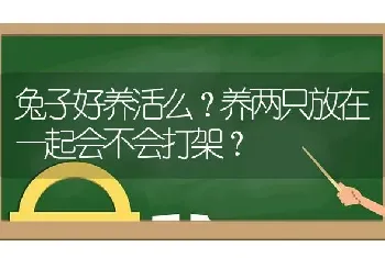 兔子好养活么？养两只放在一起会不会打架？