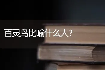 百灵鸟比喻什么人？