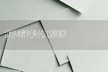 武林群侠传攻略？