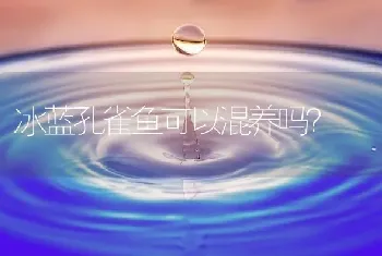 蝴蝶鱼的养殖方法？