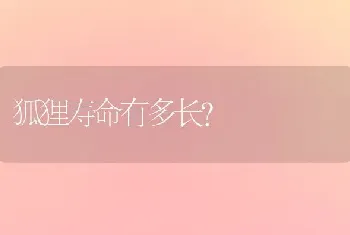 伊拉兔是加州兔吗？