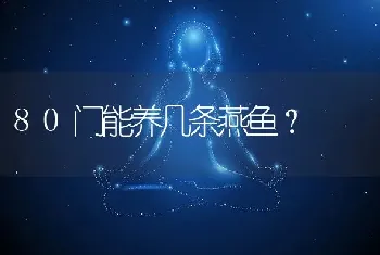 80门能养几条燕鱼？