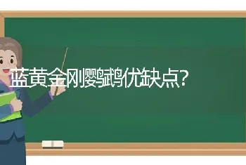 蓝黄金刚鹦鹉优缺点？