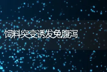 降低雏鸡死亡率6招