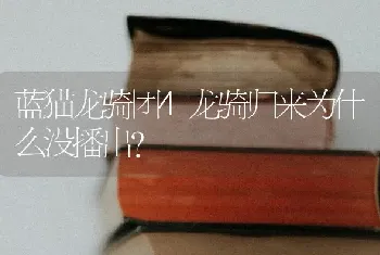 蓝猫龙骑团4龙骑归来为什么没播出？