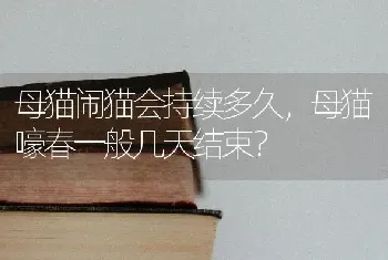 母猫闹猫会持续多久，母猫嚎春一般几天结束？