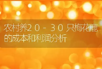 农村养20-30只梅花鹿的成本和利润分析