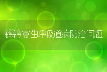 鹌鹑慢性呼吸道病防治问题