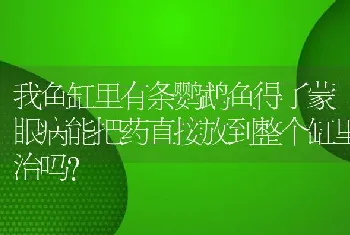 我鱼缸里有条鹦鹉鱼得了蒙眼病能把药直接放到整个缸里治吗？