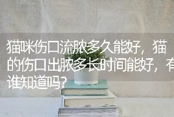 猫咪伤口流脓多久能好，猫的伤口出脓多长时间能好，有谁知道吗？