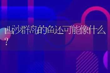 西沙群岛的鱼还可能像什么？