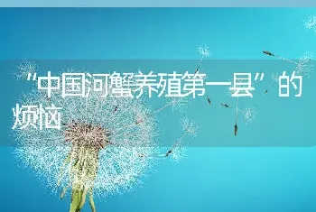 “中国河蟹养殖第一县”的烦恼