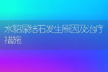 水貂尿结石发生原因及治疗措施