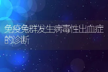 鸡坏死性肠炎的诊断与防治