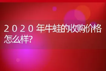 2020年牛蛙的收购价格怎么样？