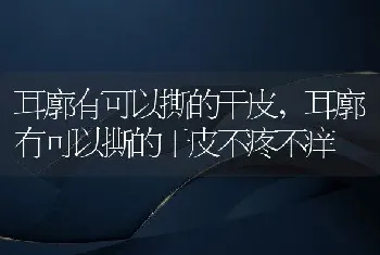 耳廓有可以撕的干皮，耳廓有可以撕的干皮不疼不痒