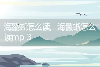 海鬣蜥怎么读，海鬣蜥怎么读mp3