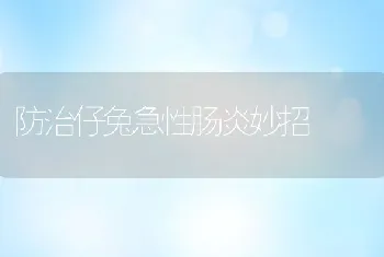 防治仔兔急性肠炎妙招