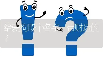 给爱狗取个名字，带财运的？