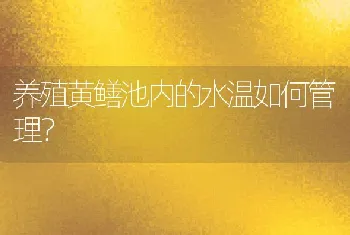 养殖黄鳝池内的水温如何管理？