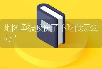 地图鱼被咬伤了不吃食怎么办？