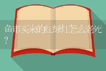 鱼市买来的红绿灯怎么老死？