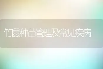 竹鼠种苗管理及常见疾病