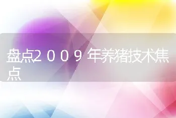 盘点2009年养猪技术焦点