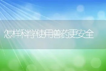 怎样科学使用兽药更安全