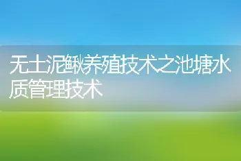 无土泥鳅养殖技术之池塘水质管理技术