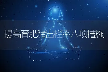 提高育肥猪出栏率八项措施