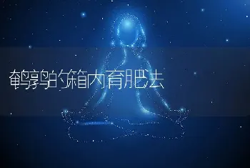 鹌鹑的箱内育肥法