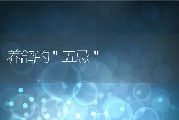 淡水鱼快速高效池塘养殖技术