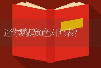 迷你鹦鹉颜色对照表？