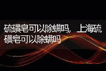 硫磺皂可以除螨吗，上海硫磺皂可以除螨吗