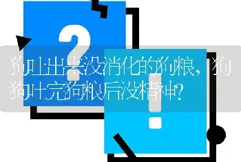 狗吐出来没消化的狗粮，狗狗吐完狗粮后没精神？