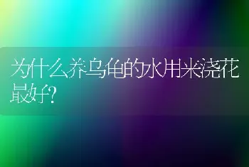 为什么养乌龟的水用来浇花最好？