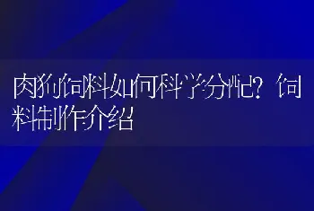 肉狗饲料如何科学分配？饲料制作介绍