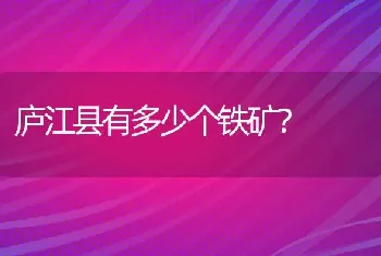 庐江县有多少个铁矿？