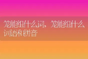 笼能组什么词，笼能组什么词语和拼音