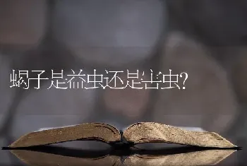 蝎子是益虫还是害虫？