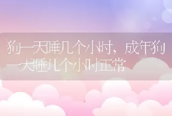 狗一天睡几个小时，成年狗一天睡几个小时正常