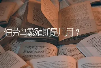 伯劳鸟繁殖期是几月？