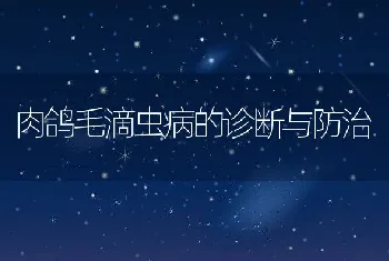 鲈鱼苗种培育技术要点